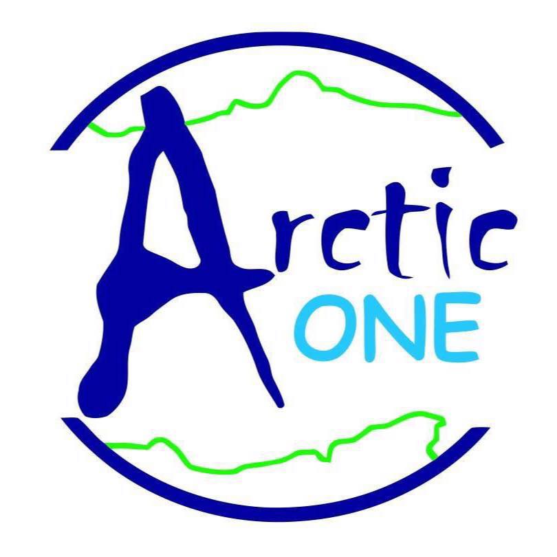 Arctic One's logo 