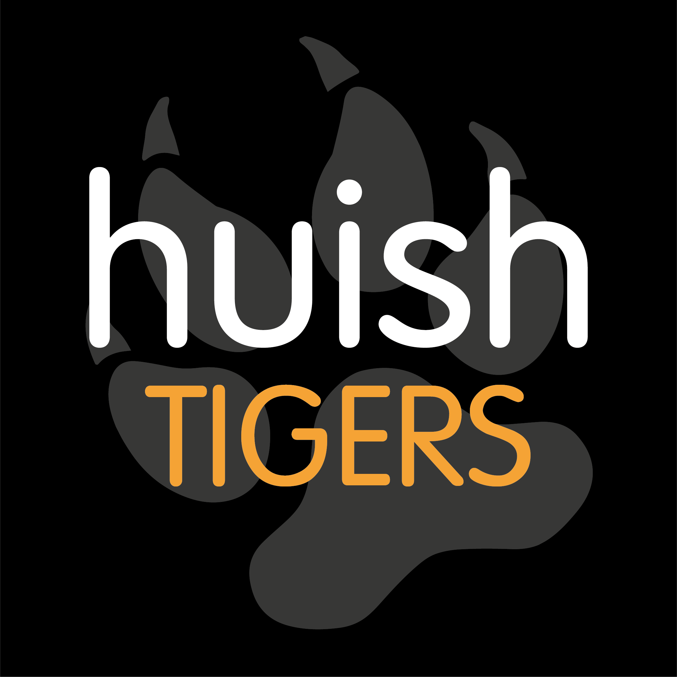 Huish Tigers Football Club