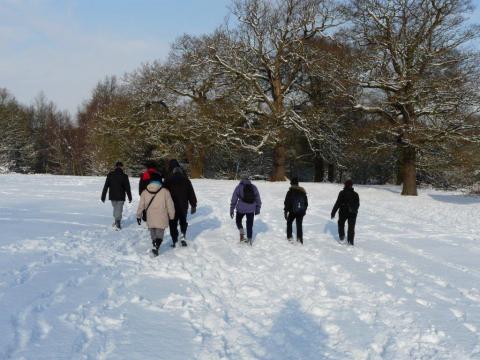 Group of walkers going through the snow