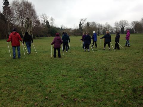 Lots of people Nordic walking away from camera