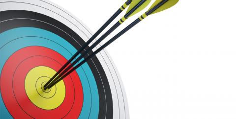 archery target with arrows in bulls eye