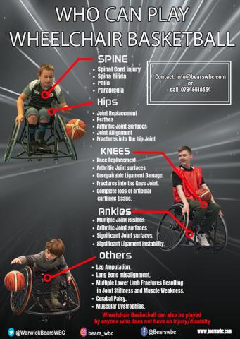 Bears Wheelchair Basketball Club