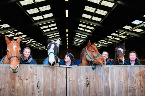 Horse riding at Calvert Devon Equestrian Centre