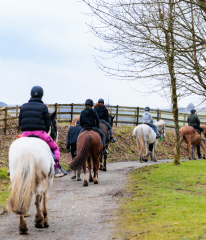 Horse riding at Calvert Devon Equestrian Centre