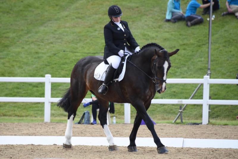 Horse and rider performing dressage test