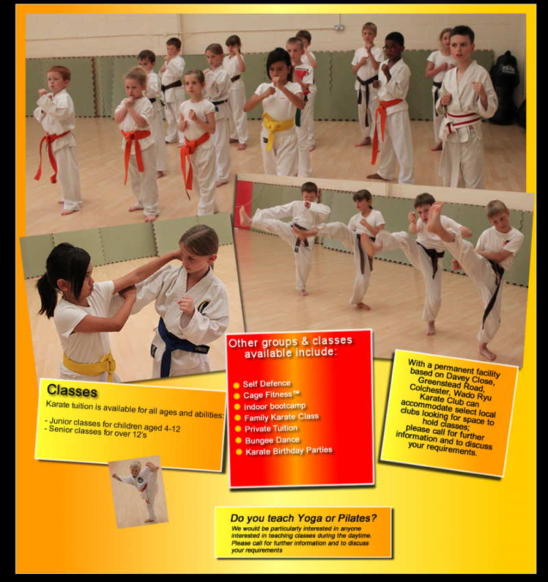 Colchester Wado Ryu Karate Club advert with children practicing kicks and martial arts positions