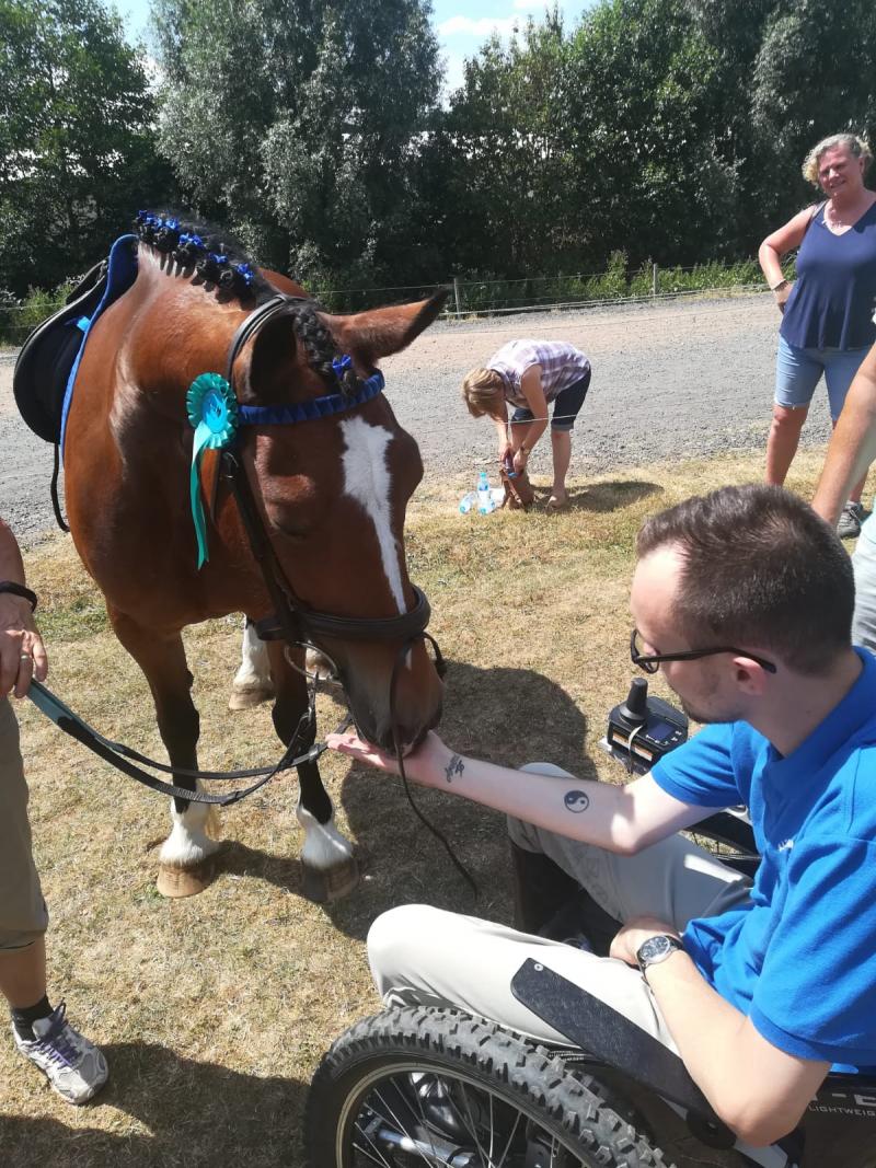 A man in a wheelchair giving a horse a polo