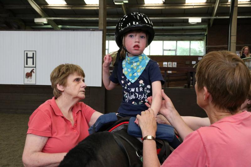 Hippotherapy Session