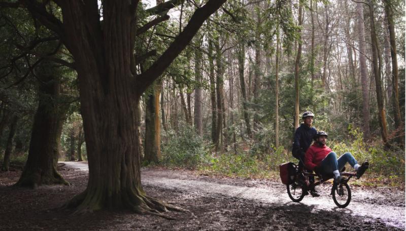 Rider and client cycling past yew tree in Leigh woods, Bristol