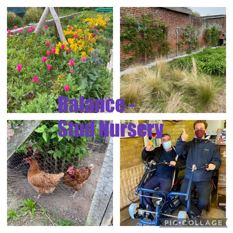 Stay active at Stud Nursery!