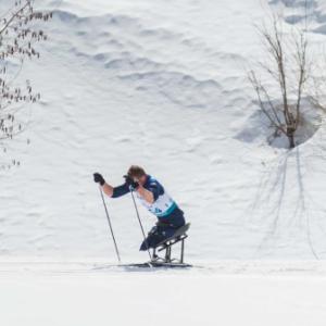 Nordic skier on a sit ski with poles